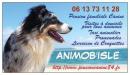 Pension familiale Canine, Visites  Domicile (Dog-Sitting), Taxi animalier, Promenades et Livraison de croquettes  l'Is